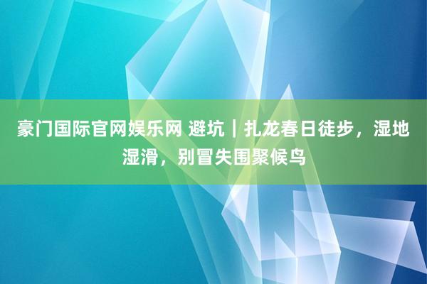 豪门国际官网娱乐网 避坑｜扎龙春日徒步，湿地湿滑，别冒失围聚候鸟