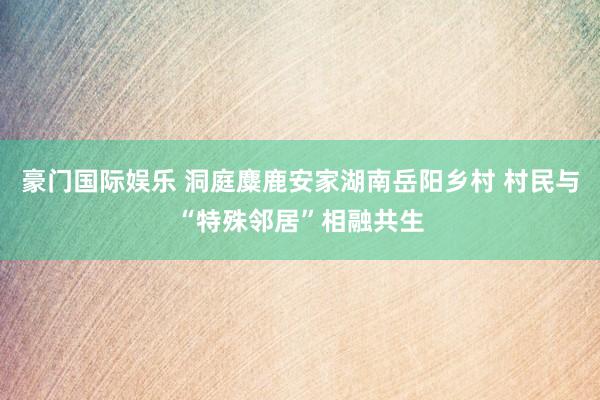豪门国际娱乐 洞庭麋鹿安家湖南岳阳乡村 村民与“特殊邻居”相融共生
