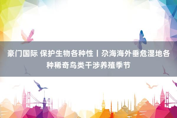 豪门国际 保护生物各种性丨尕海海外垂危湿地各种稀奇鸟类干涉养殖季节