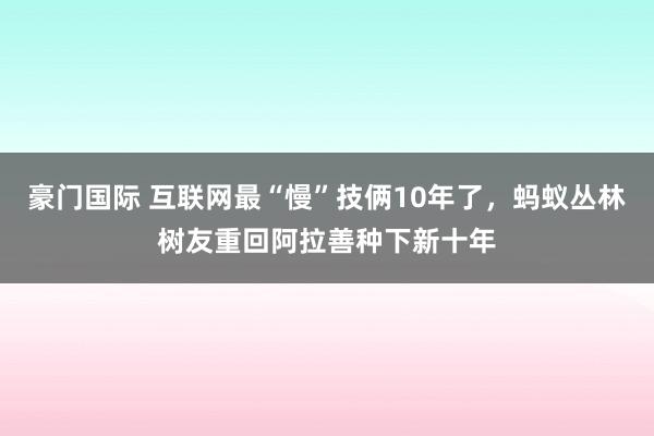豪门国际 互联网最“慢”技俩10年了，蚂蚁丛林树友重回阿拉善种下新十年