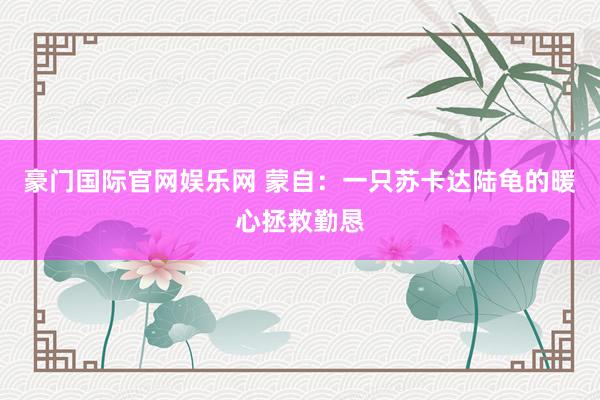 豪门国际官网娱乐网 蒙自：一只苏卡达陆龟的暖心拯救勤恳