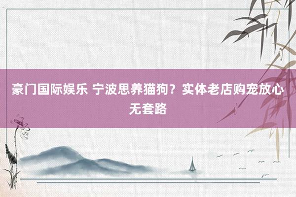 豪门国际娱乐 宁波思养猫狗？实体老店购宠放心无套路