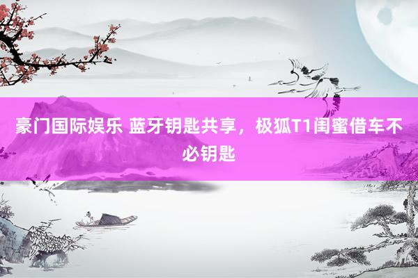 豪门国际娱乐 蓝牙钥匙共享，极狐T1闺蜜借车不必钥匙