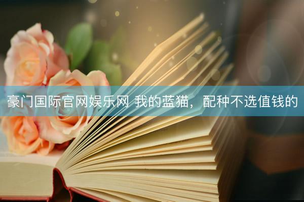 豪门国际官网娱乐网 我的蓝猫，配种不选值钱的