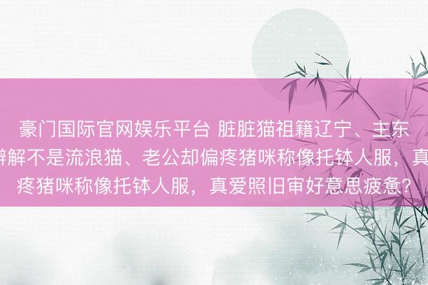 豪门国际官网娱乐平台 脏脏猫祖籍辽宁、主东谈主隔三差五拍视频辩解不是流浪猫、老公却偏疼猪咪称像托钵人服，真爱照旧审好意思疲惫？
